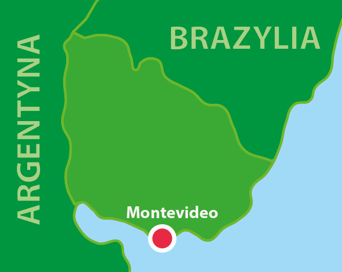 BrazyliaOsobno PL